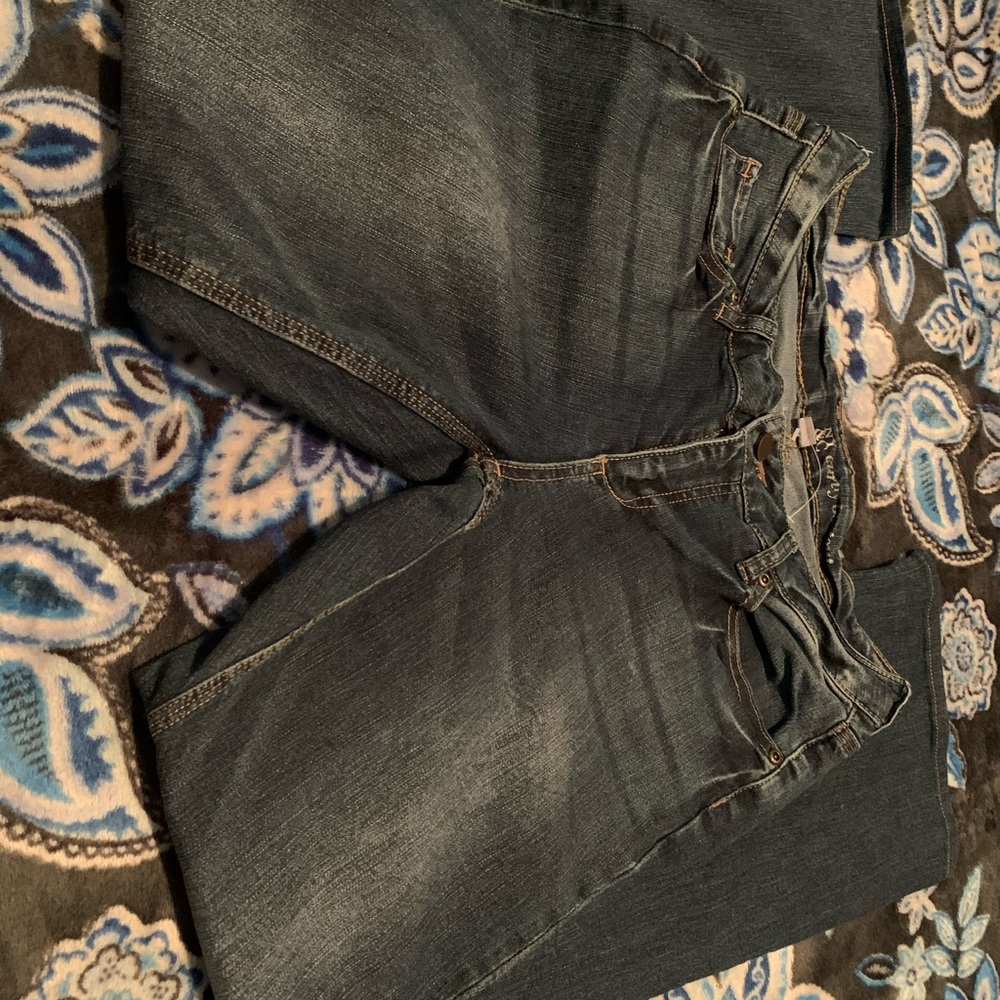 NY & C Curvy bootcut